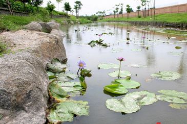 Canal Gardens, Kota Kemuning