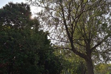 Canal Gardens, Kota Kemuning