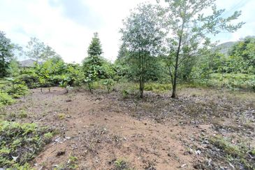 Desa Palma, Nasa City