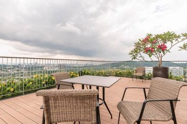 The Ooak (Kiara 163)