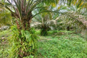 Banting @ Industrial