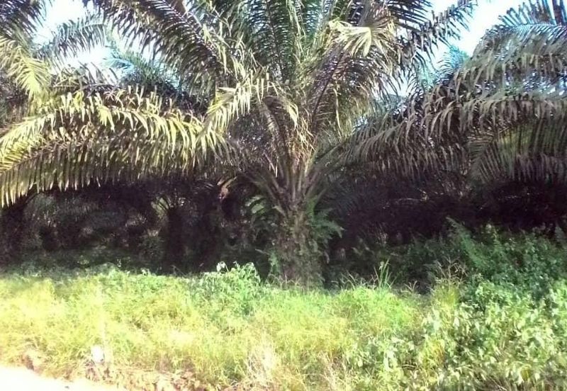 Banting @ Industrial