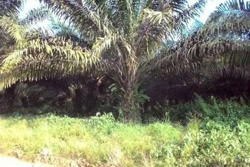 Banting @ Industrial