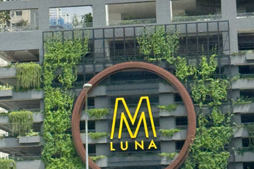 M Luna