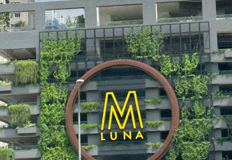 M Luna