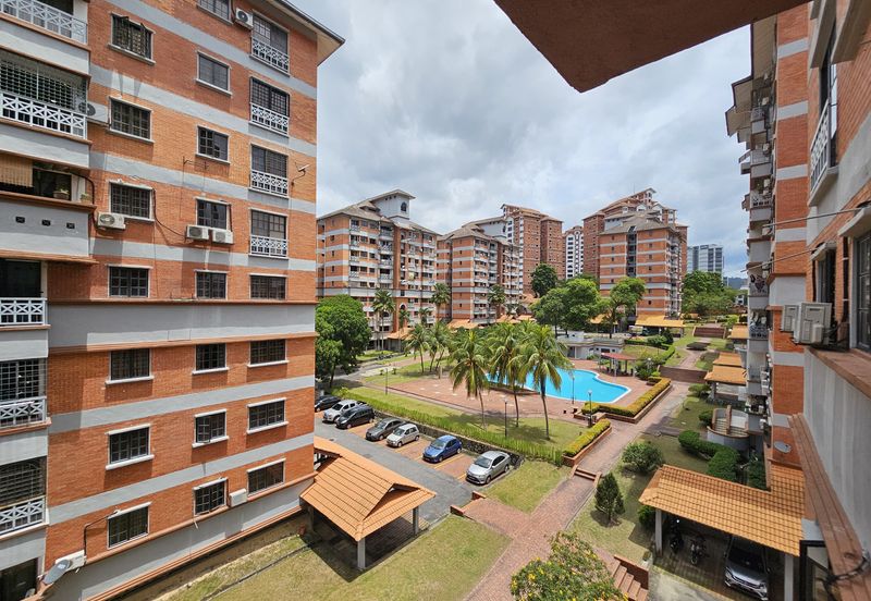 Evergreen Park Acorn and Hazel