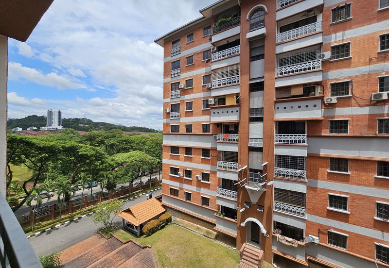 Evergreen Park Acorn and Hazel