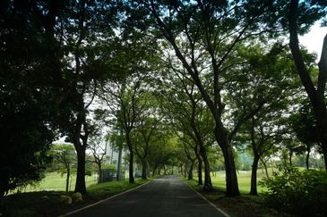 Jalan Rimba Riang 9/11