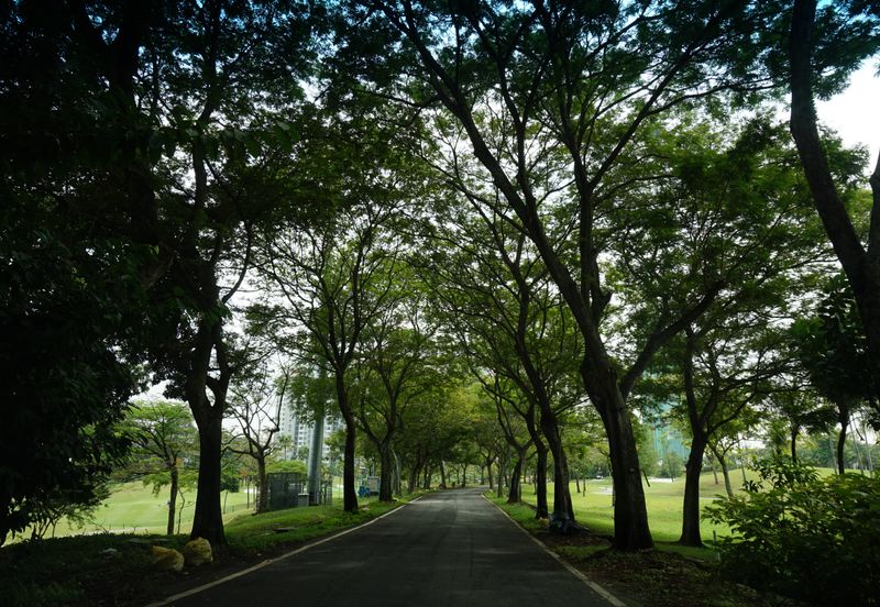 Jalan Rimba Riang 9/11