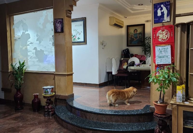 Seksyen 6, Kota Damansara