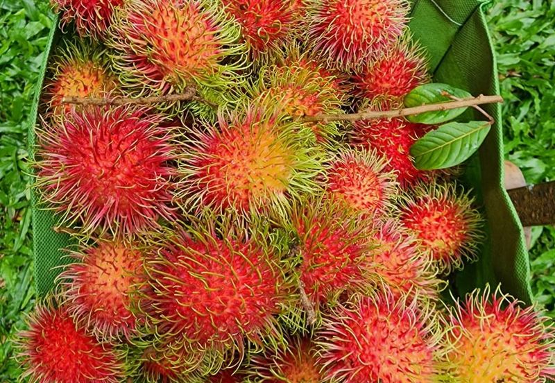 Seksyen 6, Kota Damansara