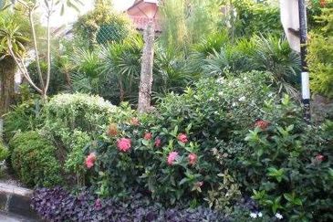 Seksyen 8, Kota Damansara