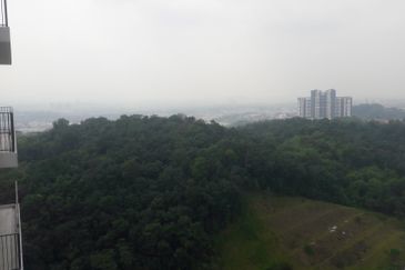 Agriculture plantation 
