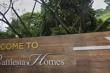 04 Aug ! The Rafflesia ! Below Market Price! Good Buy! Bank Lelong! Cheap!