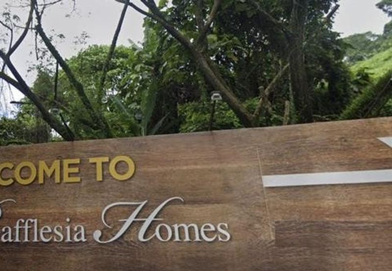 05 Jan! The Rafflesia Damansara Perdana! Below Market Price! Hill 2 Hill 3! Empire Residence, Mutiara Damansara, Sunway Rymba Hills, Bandar Utama