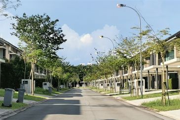 Bayou Creek, Leisure Farm