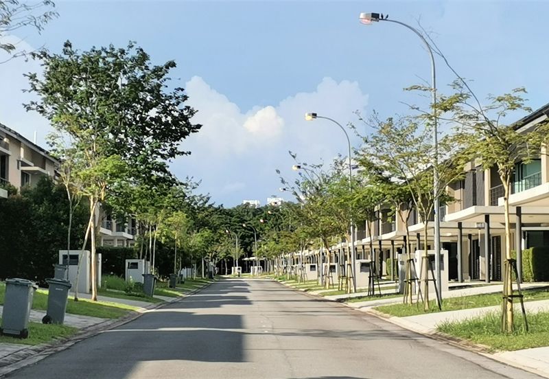 Bayou Creek, Leisure Farm