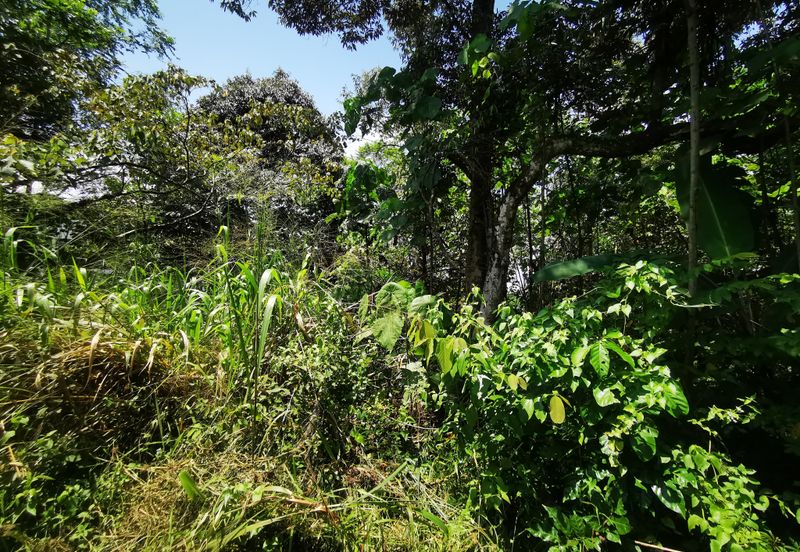 Kawasan Perindustrian Hi Tech 5