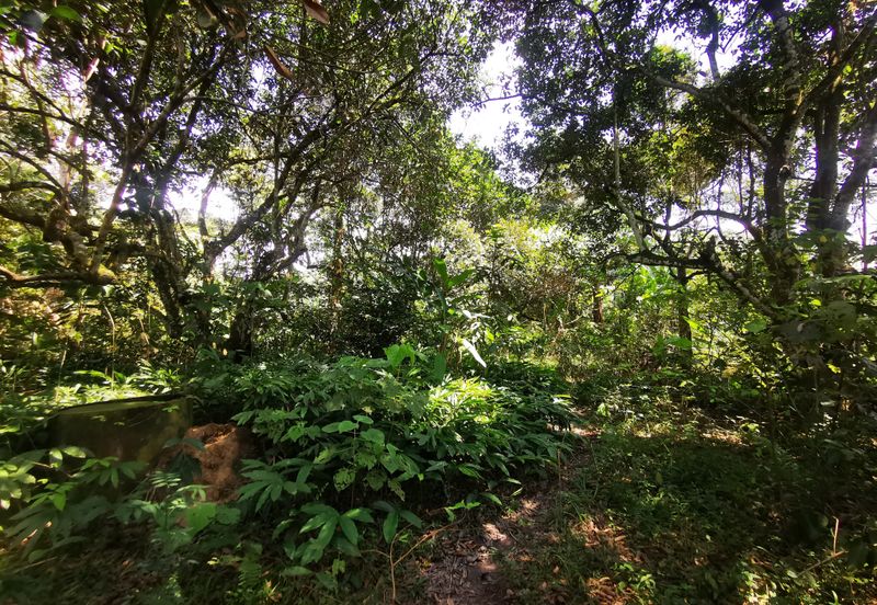 Kawasan Perindustrian Hi Tech 5