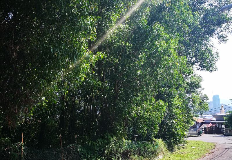 Bukit Jelutong Industrial Park