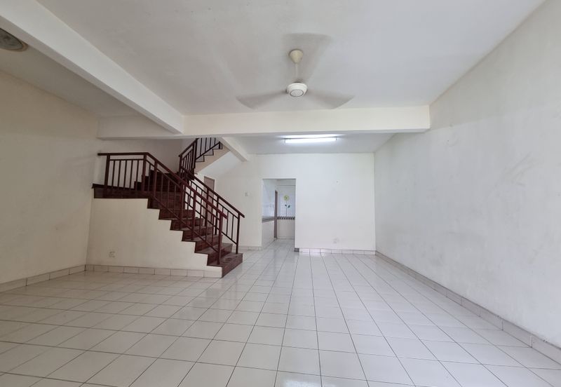 Anggerik Tainia, Kota Kemuning, Selangor 