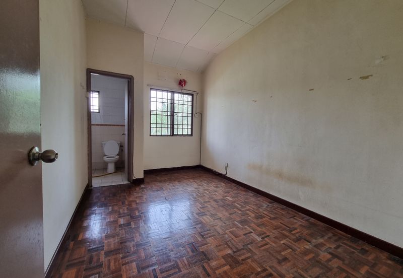 Anggerik Tainia, Kota Kemuning, Selangor 