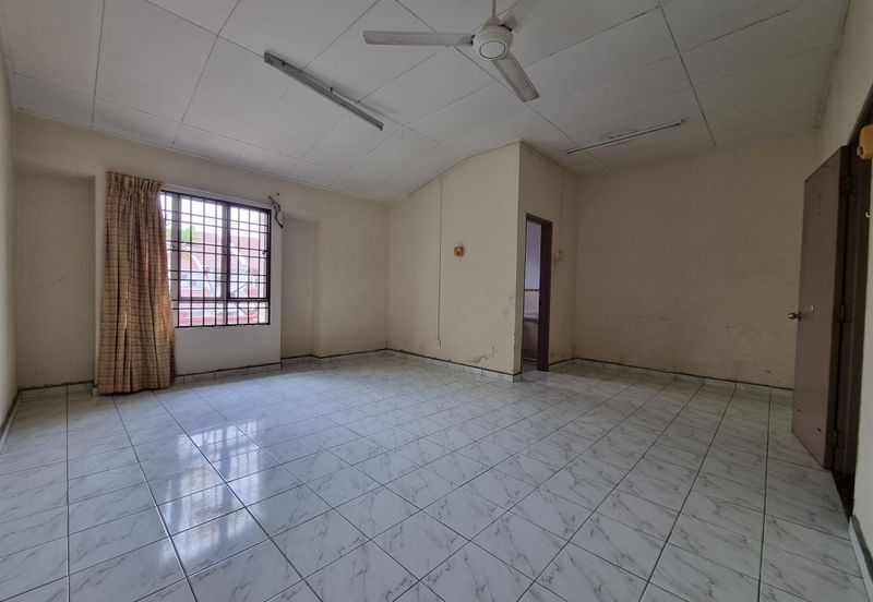 Anggerik Tainia, Kota Kemuning, Selangor 