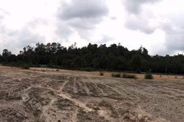 Agricultural Land Near ROADSIDE
