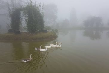 Genting Permai Royale Resort