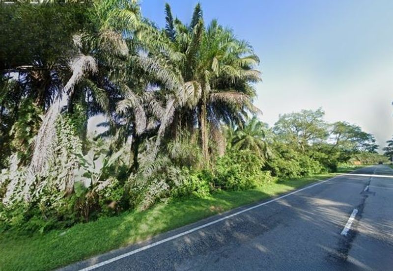 Kampar Agricultural Land with Freehold Title