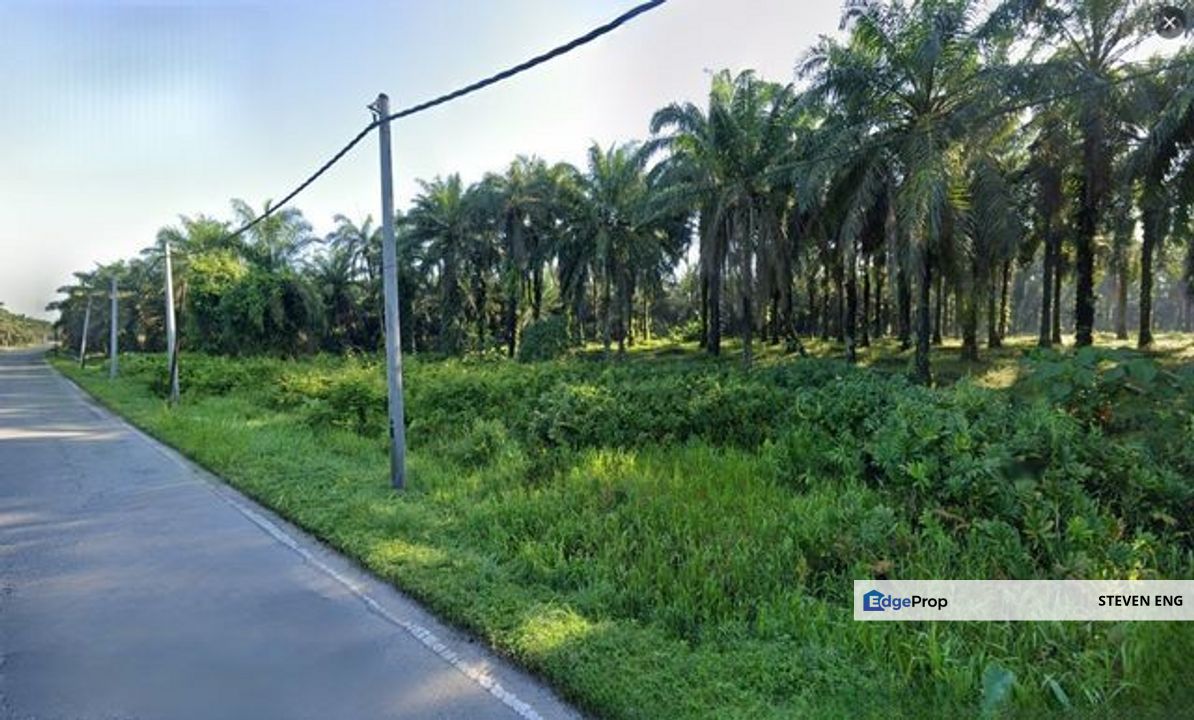 Kampar Agricultural Land with Freehold Title, Perak, Kampar