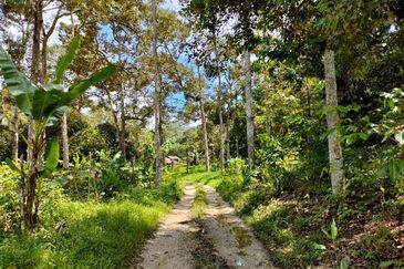 Tapah Freehold Agricultural Land For Sale