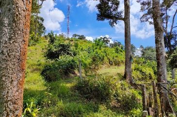 Tapah Freehold Agricultural Land For Sale