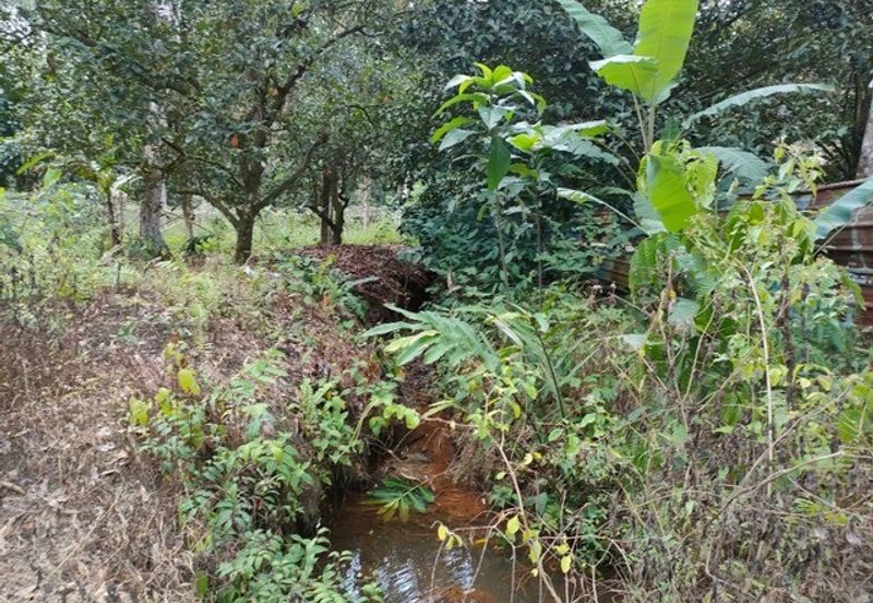 Tapah Freehold Agricultural Land For Sale