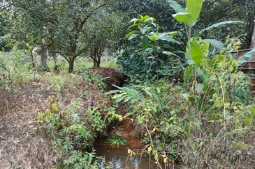 Tapah Freehold Agricultural Land For Sale