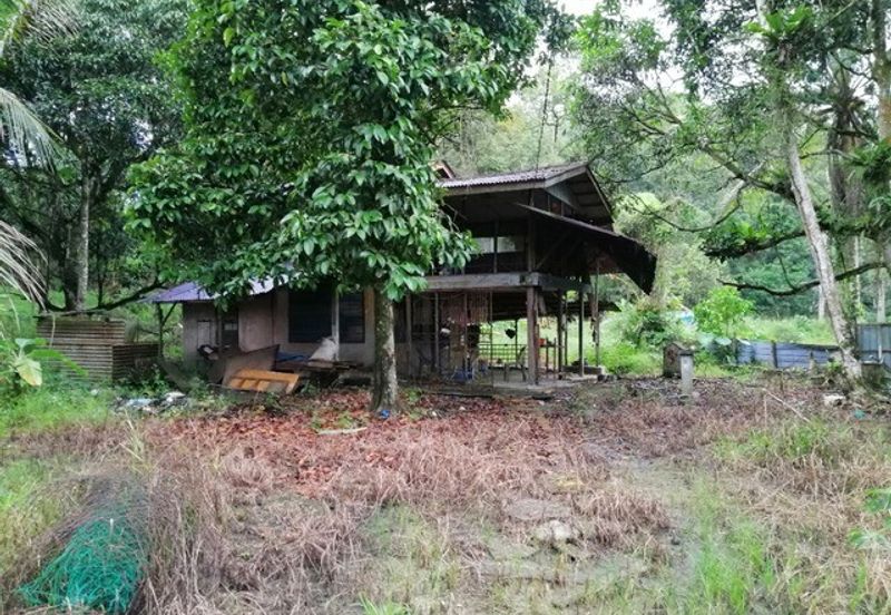 Tapah Freehold Agricultural Land For Sale