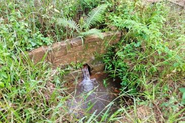 Tapah Freehold Agricultural Land For Sale