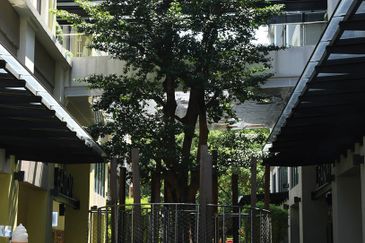 Tenanted Shop Lot Unit in Plaza Arkadia for Sale