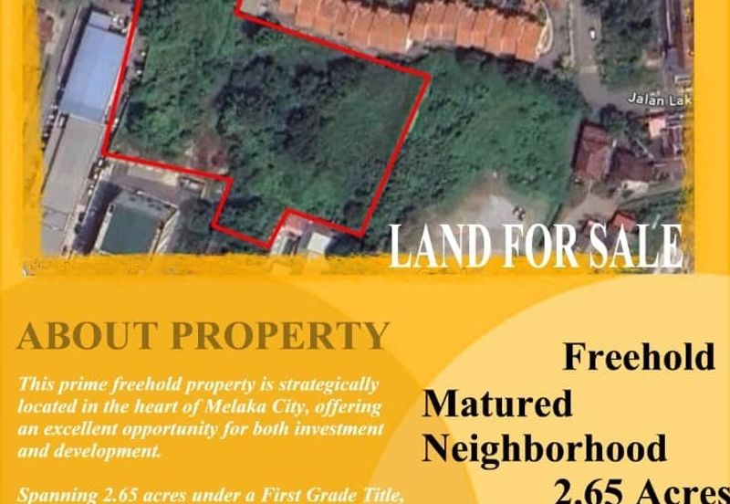 Taman Laksamana Cheng Ho