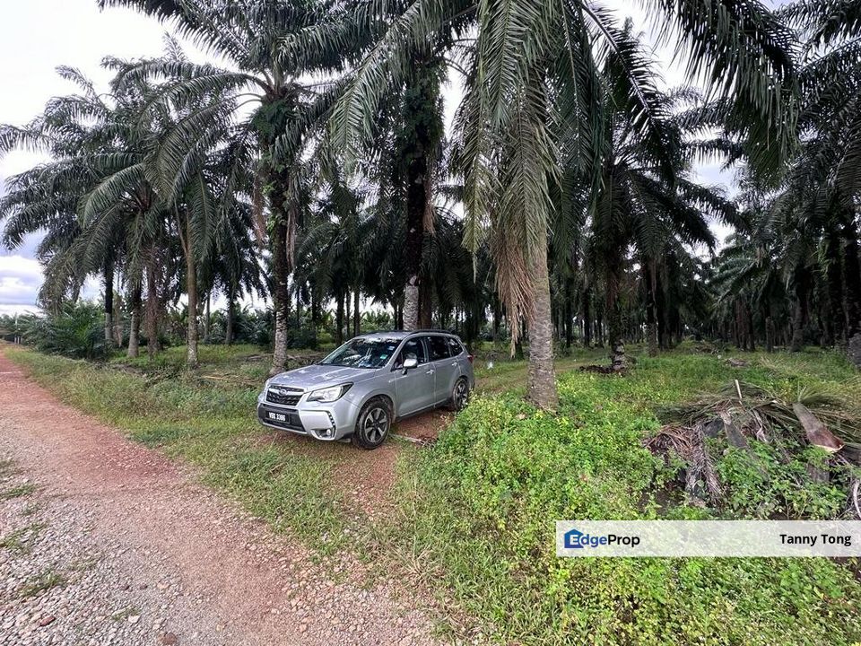 SUNGAI PELEK SEPANG AGRICULTURE LAND FOR SALE for Sale @RM2,750,000 By ...