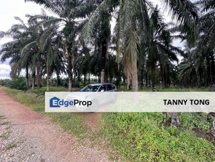 SUNGAI PELEK SEPANG AGRICULTURE LAND FOR SALE, Selangor, Sepang