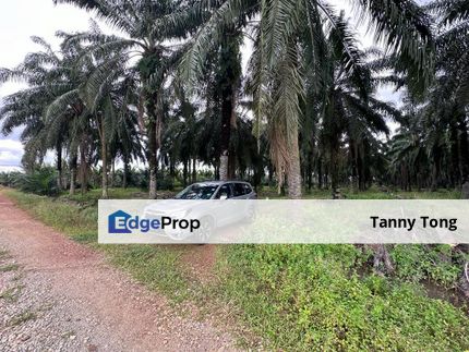 (Main Road) SUNGAI PELEK SEPANG AGRICULTURE LAND FOR SALE, Selangor, Sepang