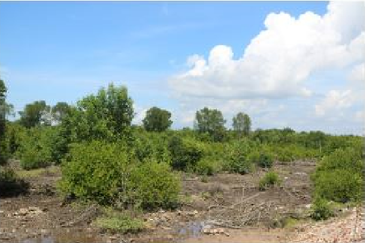 Bandar Sultan Suleiman Industrial Area