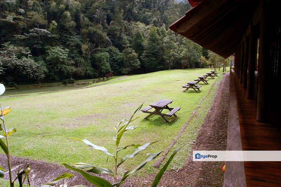 Tanarimba,Janda Baik,Bentong,Bungalow Land, Pahang, Bentong