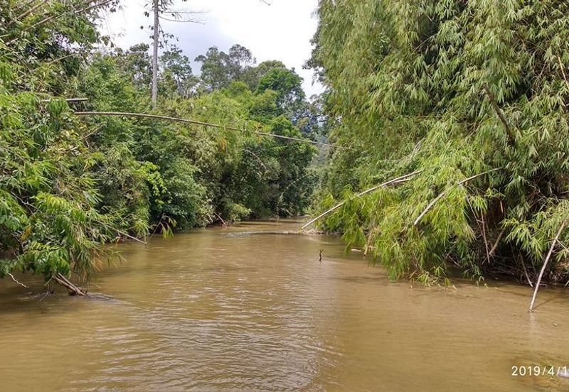 The Valley,Karak,Bentong,Freehold Bungalow Land