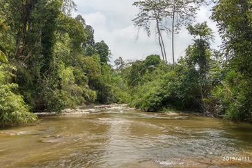 The Valley,Karak,Bentong,Freehold Bungalow Land