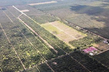 Kapar Industrial Park