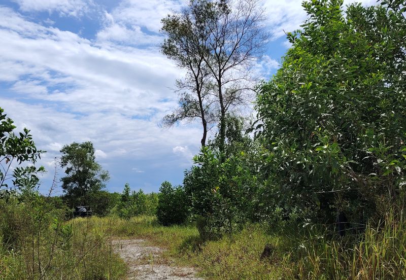 Industrial Land For Sale at Gambang, Kuantan Pahang