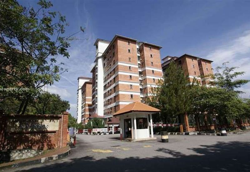 Evergreen Park Cypress