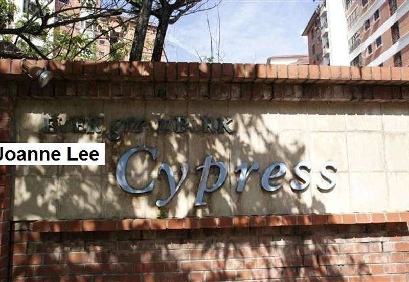 Evergreen Park Cypress